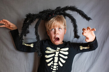 Halloween Skeleton with black spider 