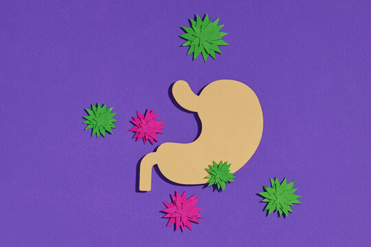 Colorful Artistic Representation of Stomach with Germs