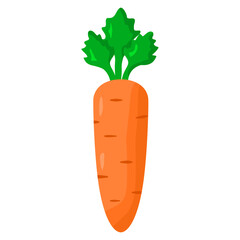 carrot illustration