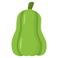 chayote illustration