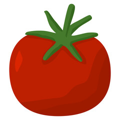 tomato illustration