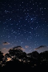 Fototapeta premium Bright star constellation illuminating the night sky. Generative AI