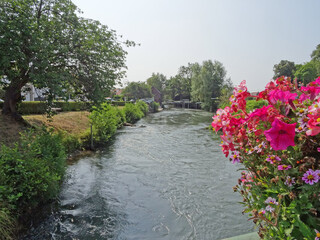 Pas de Calais, ville de Montreuil sur Mer , rivière La Canche 