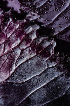Cabbage texture