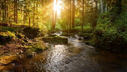 Idyllic forest river at sunset: babbling brook in the middle of a dense coniferous forest, illuminated by warm rays of sunlight breaking through the canopy of leaves