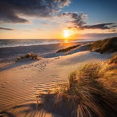 Golden sunset over a dune landscape: fine sand with wind patterns, surrounded by wild beach grass, while the setting sun bathes the sea and sky in warm colors