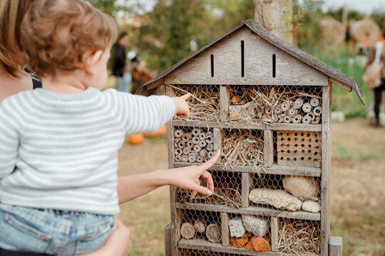 A woman with a child looking at an insect house