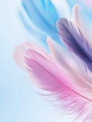 Obraz premium Soft, colorful feathers in pastel shades against a light background.