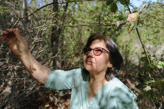 Senior woman looking for mushrooms in the forest