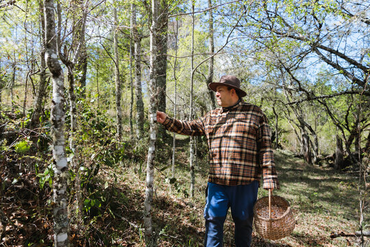 Man in Search of Mushrooms