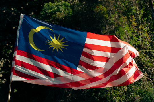 Vibrant Malaysian Flag in Nature