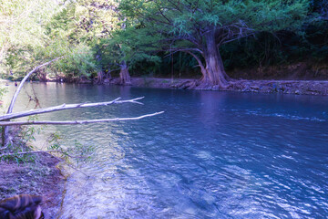 hermoso árbol en rio, arroyo seco jalapa de serra en Queretaro. Puente que te lleva al rio,...