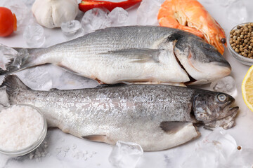 Fresh raw sea food, ice cubes and products on white marble table