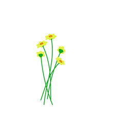 Plant Flower Botanical