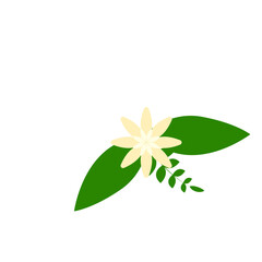 Flower Clipart Decoration