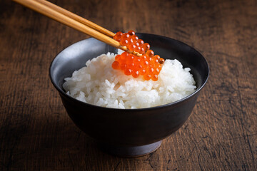 イクラご飯	salmon roe