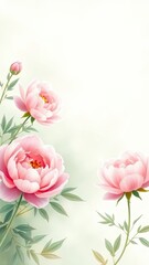 Delicate watercolor peonies in a soft green foliage background, garden flowers., botanical illustration, watercolor floral, floral painting