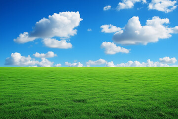 Fototapeta premium Empty Green Grassland Background with Blue Sky and White Clouds