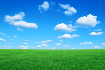 Fototapeta premium Empty Green Grassland Background with Blue Sky and White Clouds