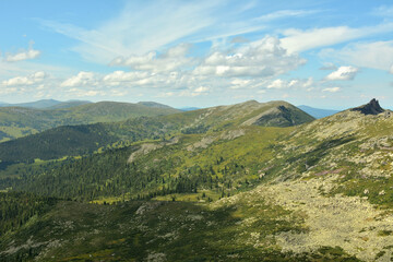 View from the top of a picturesque mountain valley with gentle slopes and rare coniferous trees under a cloudy summer sky.