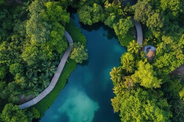 Obraz premium Aerial view of a lush green tropical lagoon with a wooden walkway.