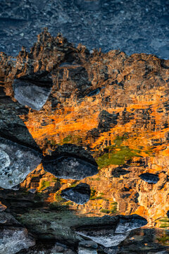 Abstract natural background at sunset