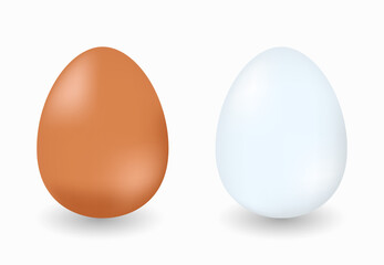 Brown shell and white shell eggs on white background, Vector Illustration