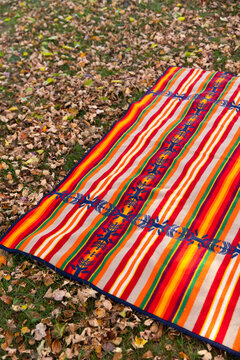 Fall wool Picnic blanket in Grass nobody 