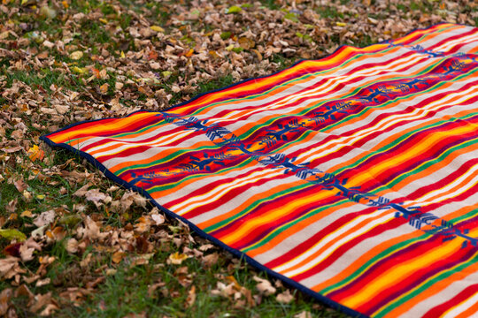 Fall wool Picnic blanket in Grass nobody with leaves 