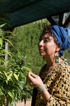 Woman taking care of cannabis plant