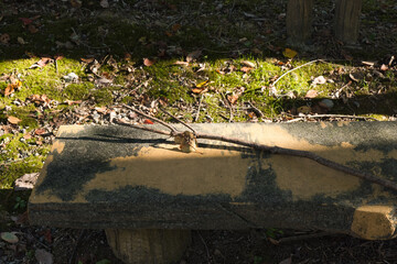ベンチと落ち葉と小枝