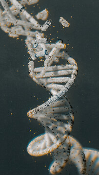 DNA strands captured in detail using macro photography