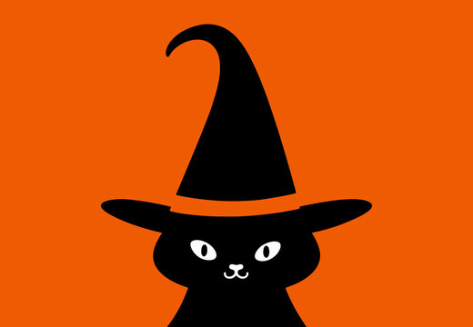 A black cat, wearing a small black witch's hat