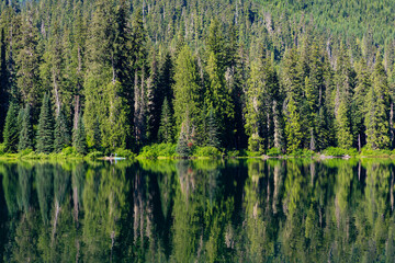 Obraz premium Nature landscape. Lake in scenic nature. Scenic nature of popular hiking lake. Evergreen forest. Wilderness and adventure at forest. Lake with green landscape. Landscape of idyllic forest at lake