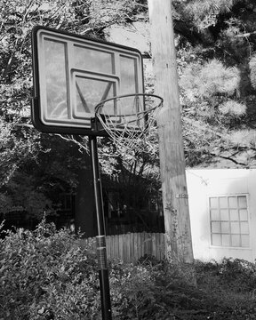 Basketball hoop and net