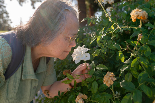 Senior smelling rose
