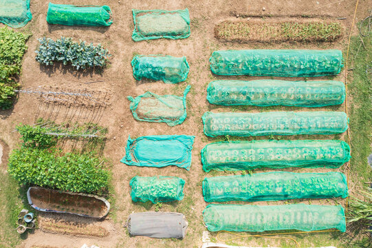Vegetable Garden Beds with Green Insect Netting Protection Aeria