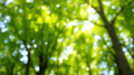 Obraz premium Vibrant Green Forest Canopy Nature Photography for Wall Art, Home Decor, and Calming Spaces