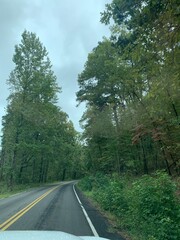 Obraz premium road in the woods