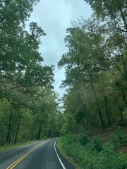 Obraz premium road in the woods