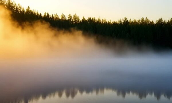 Quiet River Shrouded In Early Morning Fog