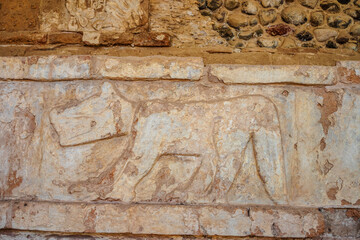 Pre-Hispanic stone engravings with animal figures in the archaeological zone of the pyramids of the Atlanteans, in Tula Hidalgo