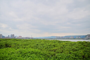 Nestled at Taipei's northern edge, Shezidao Taitou Park blends natural beauty with cultural charm. Its lush greenery, winding paths, and expansive views create a serene escape.