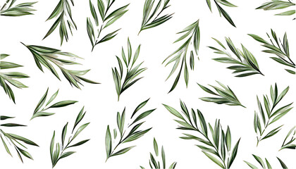 White background vector of slender green needle-like leaves in flat lay.