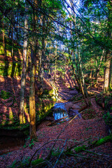 Cedar Falls Unit, Hocking Hills State Park, Ohio