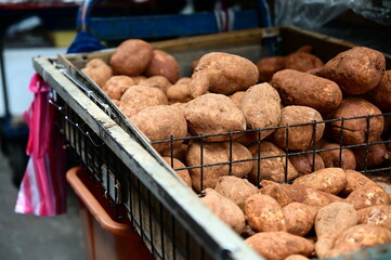 A staple in Taiwanese diets, Taiwan sweet potato is packed with essential nutrients, including...