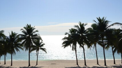 Fototapeta premium Tropical Paradise Beach Scene with Palm Trees and Calm Blue Ocean, Perfect for Vacation or Relaxation