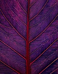 Intricate details of a deep purple leaf.