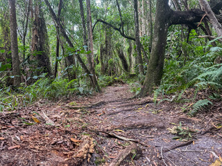 Okeeheelee Park South MTB Biking Trail, West Palm Beach, Florida