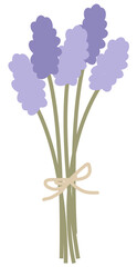 lavender flowers